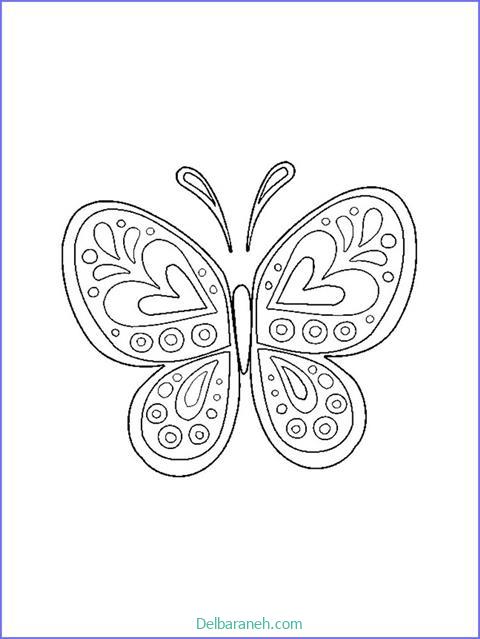 رنگ آمیزی پروانه (۸)