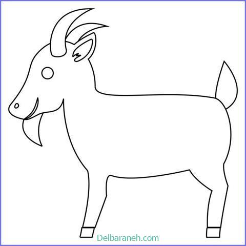رنگ آمیزی کودکانه بز (۱)