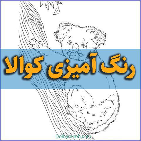 رنگ آمیزی کوالا رنگ آمیزی کوالا