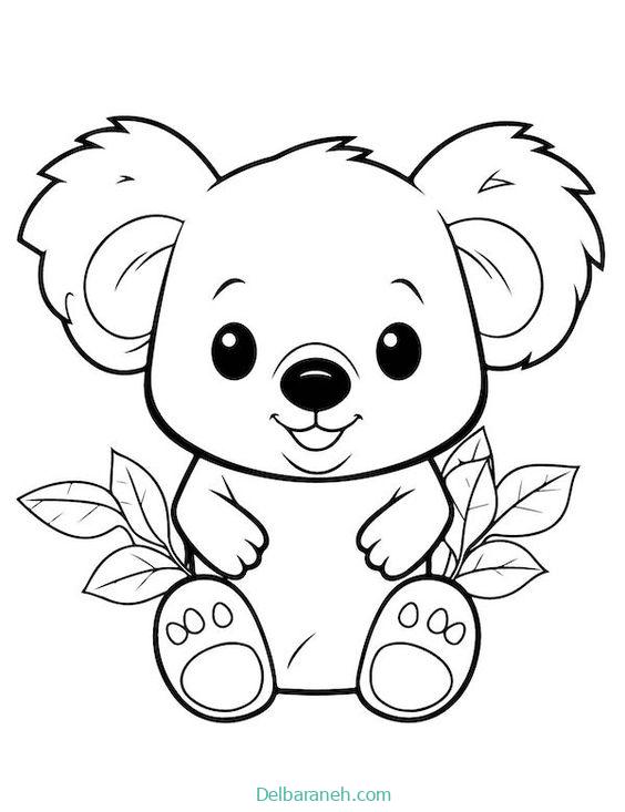 koalaa01 (7)