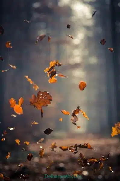 ۰۱ (۵)