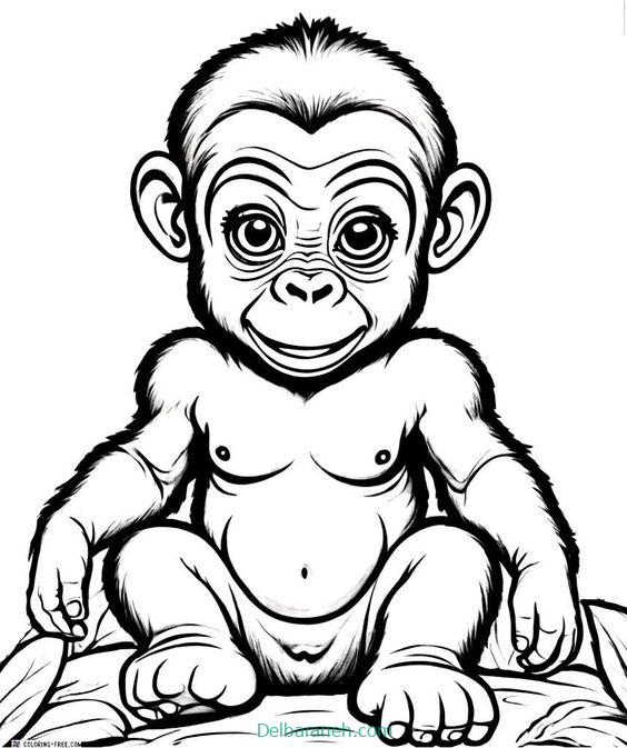 Gorilla drawing worksheet01 (24)