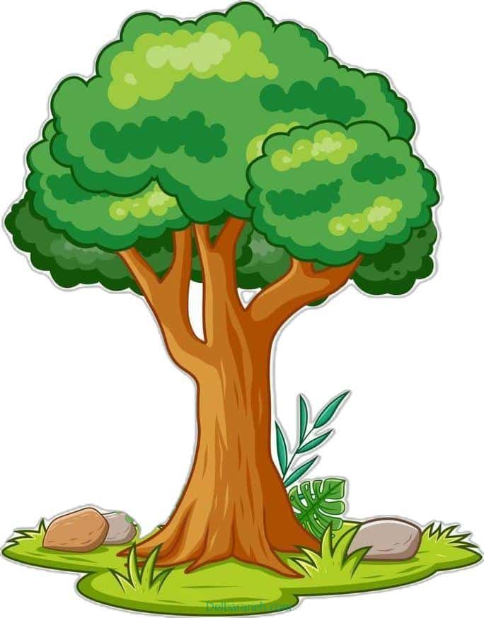 the tree01 (3)