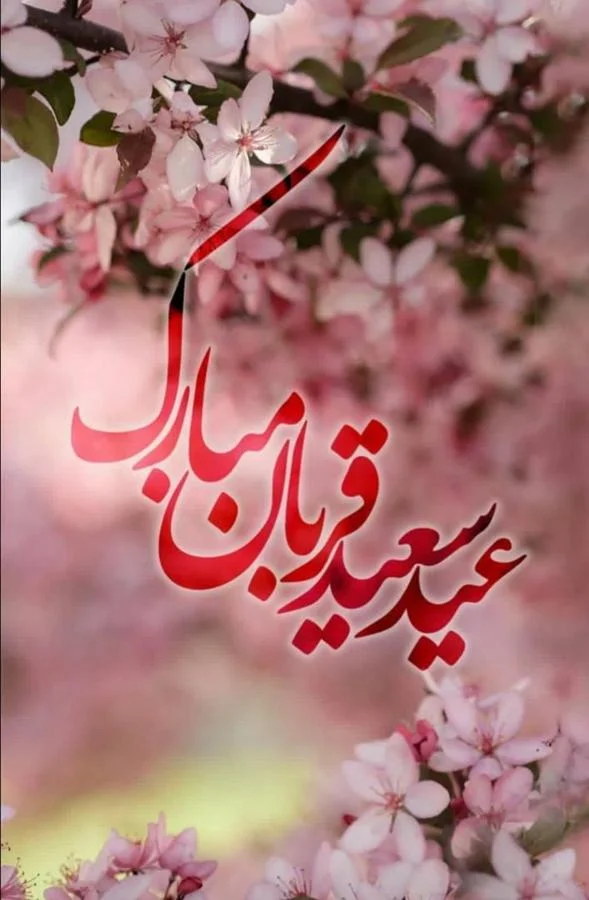۰۱ (۱۱)