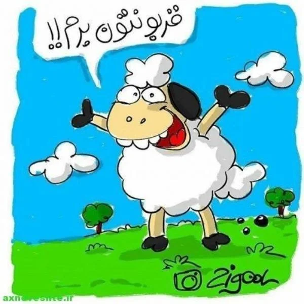 ۰۱ (۱۳)
