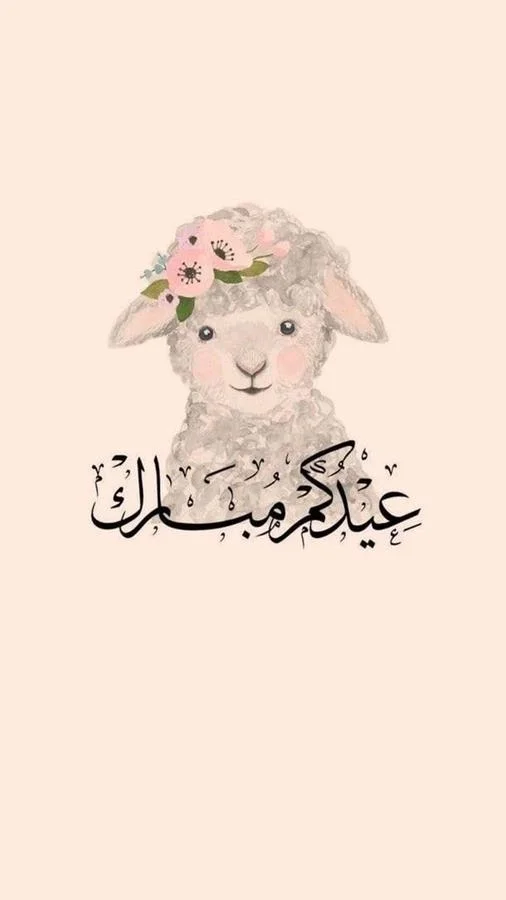 ۰۱ (۱۷)