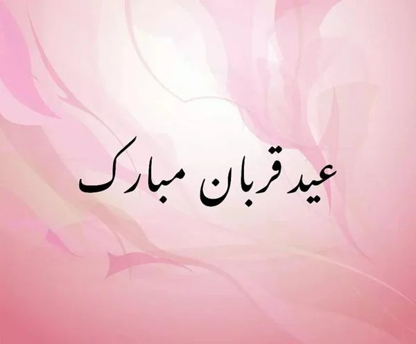 ۰۱ (۸)