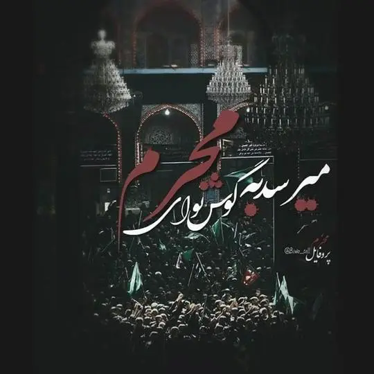 استوری-رسیدن-ماه-محرم۰۱ (۱۴)