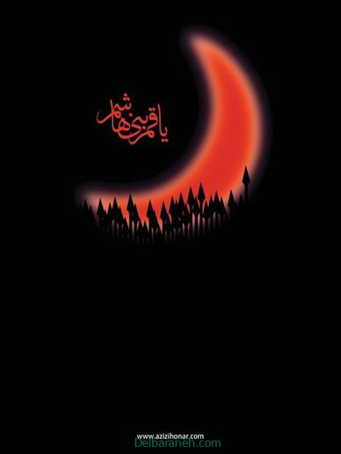 shahadat-of-hazrat-abbas01 (15)