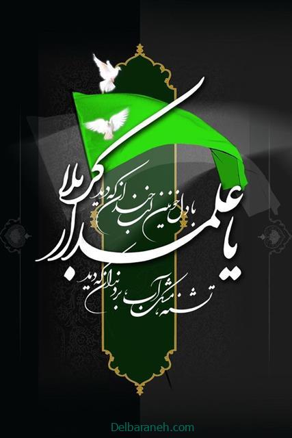 shahadat-of-hazrat-abbas01 (26)