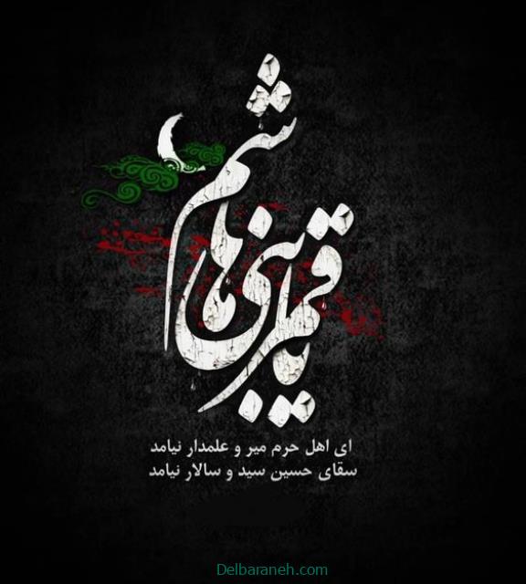 shahadat-of-hazrat-abbas01 (27)