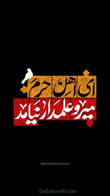 shahadat-of-hazrat-abbas01 (34)