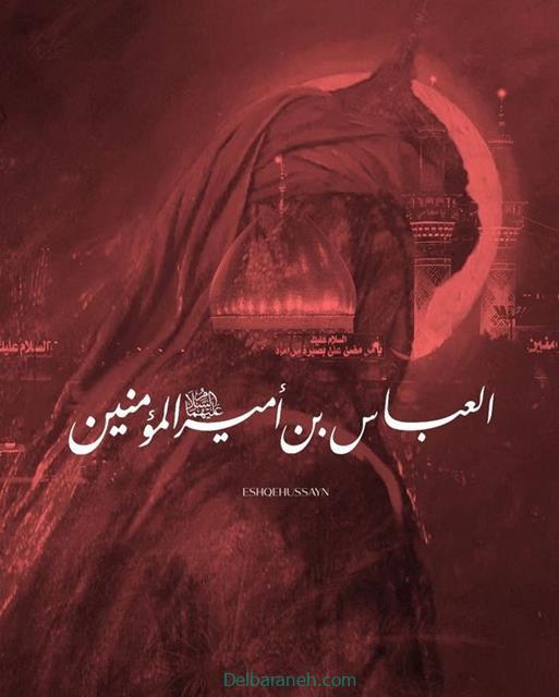 shahadat-of-hazrat-abbas01 (40)