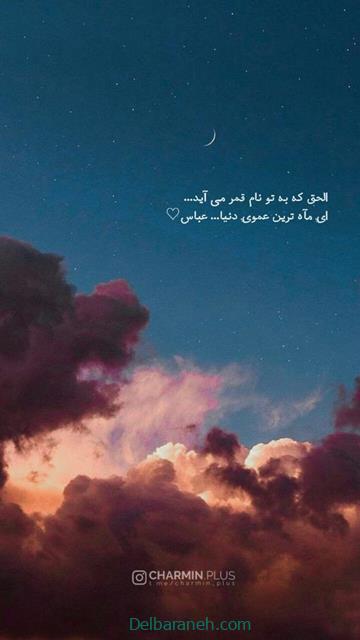 shahadat-of-hazrat-abbas01 (41)