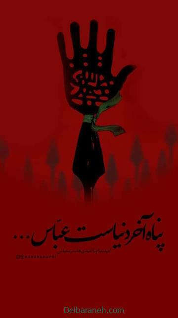shahadat-of-hazrat-abbas01 (48)