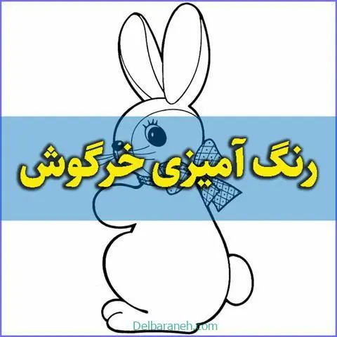 رنگ-آمیزی-خرگوش