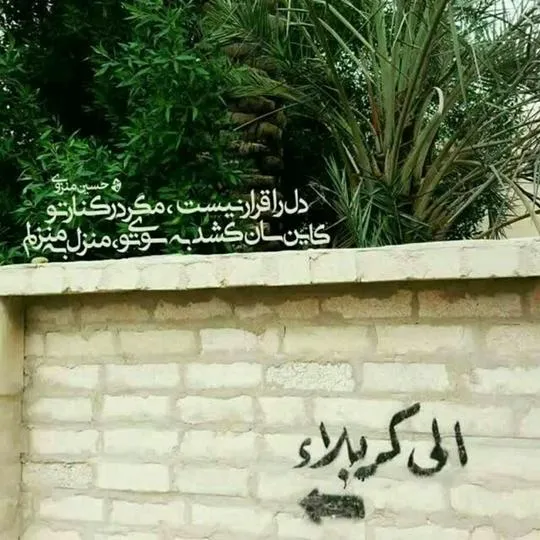 ۰۱ (۲۵)