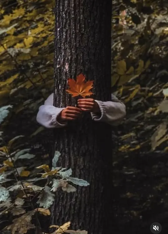 ۱۲ (۱۵)