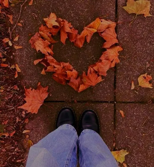 ۱۲ (۱۸)