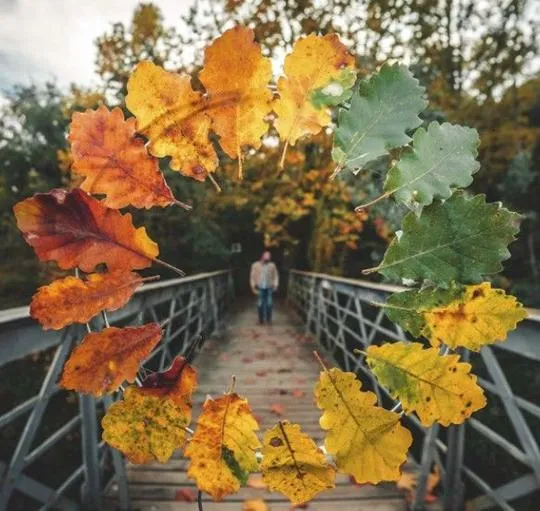 ۱۲ (۲)