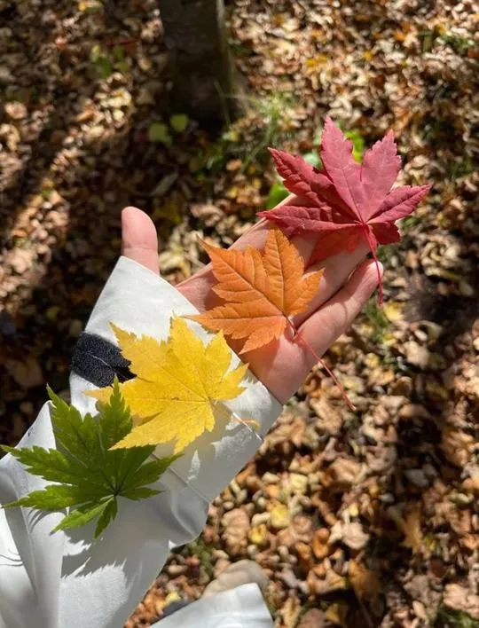 ۱۲ (۹)