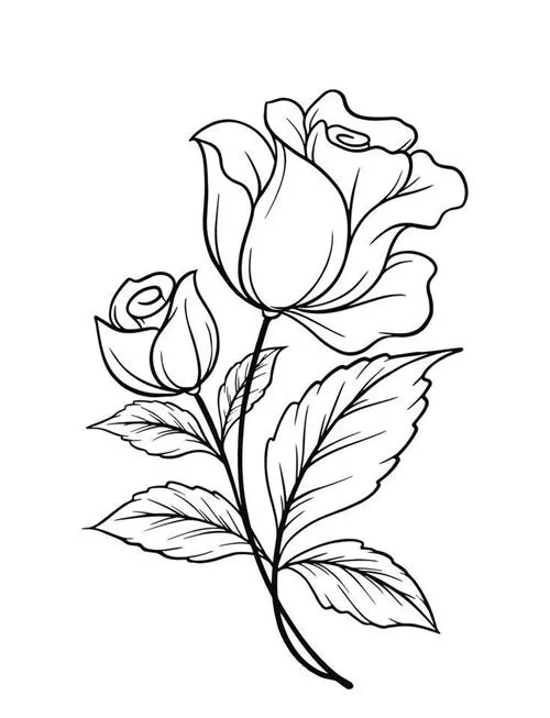 نقاشی-گل-رز۰۱ (۱۹)