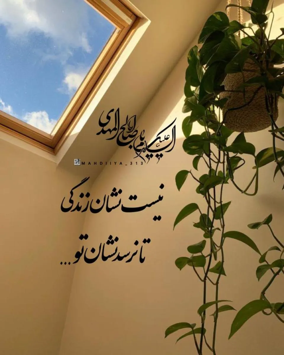 ۰۱ (۱۴)