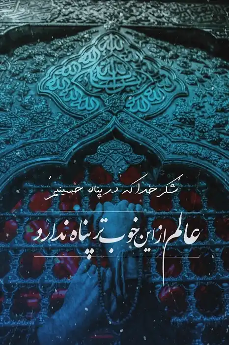 متن حلالیت برای خداحافظی کربلا