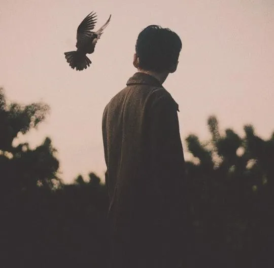 profile-picture-telegram-sad01 (15)