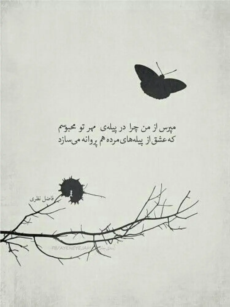 شعر عاشقانه فاضل نظری به صورت عکس نوشته شعر عاشقانه فاضل نظری به صورت عکس نوشته