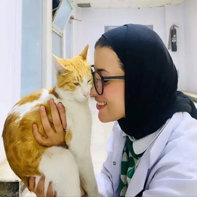 عکس استوری اینستا روز دامپزشک