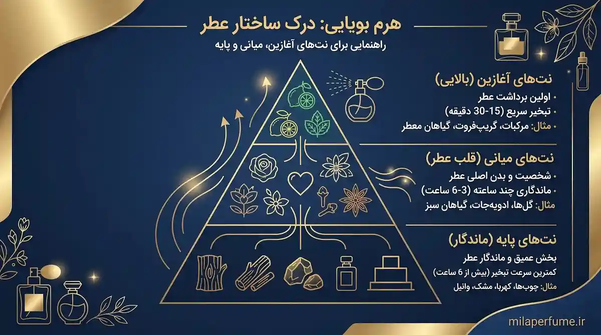 اشنایی با هرم بویایی عطر اشنایی با هرم بویایی عطر