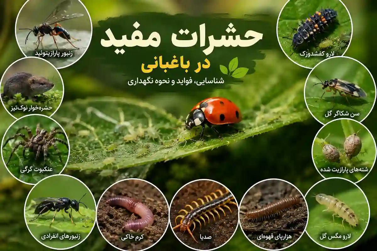 حشرات مفید در باغبانی