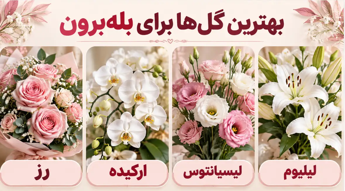 بهترین گل ها برای بله برون بهترین گل ها برای بله برون