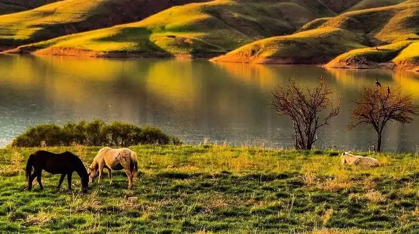 اجاره ویلا اطراف تهران
