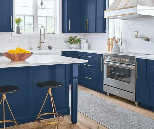 new-kitchen-cabinet-colors10 (12)